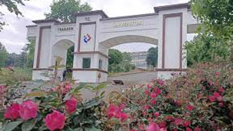 Trabzon Üniversitesi sözlü sınavsız 25 personel alacak